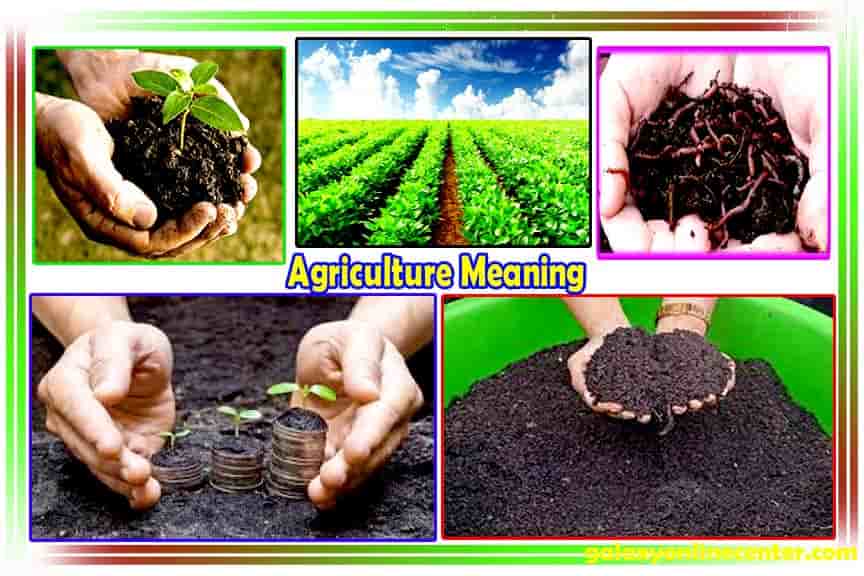 Agriculture Meaning In Hindi