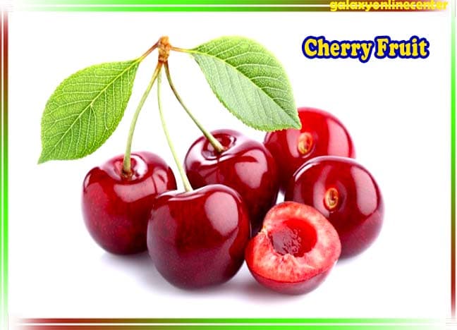 Cherry Fruit Cultivation Information Guide