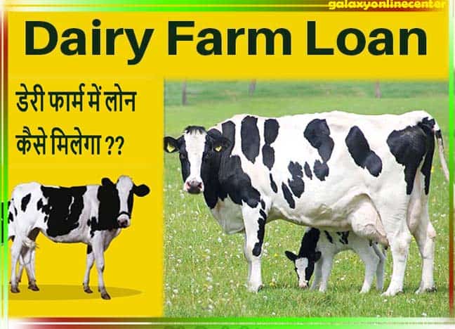 Dairy Farming Loan
