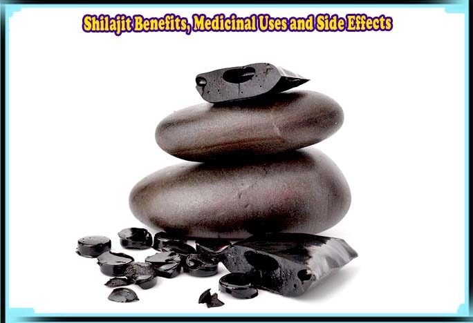 Shilajit Benefits, Medicinal Uses and Side Effects