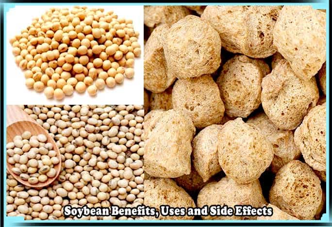 Soybean Benefits, Uses and Side Effects