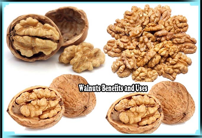 Walnuts Benefits and Uses